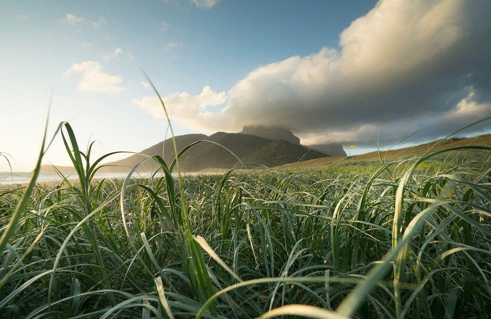 Arajilla Retreat Villa Lord Howe Island Exterior foto